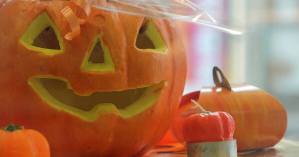 https://c.vosgesmatin.fr/culture-loisirs/2026/10/29/chasse-aux-bonbons-defiles-et-ateliers-halloween-s-invite-dans-le-secteur-mirecourt-dompaire